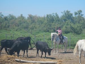 una guardienne a cavallo