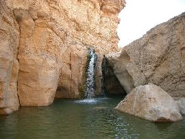 La moschea di Sousse